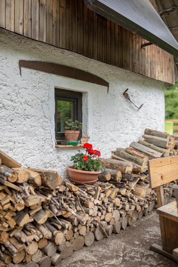 Lizina Hiska House Bohinj Villa Bohinjska Bistrica Kültér fotó