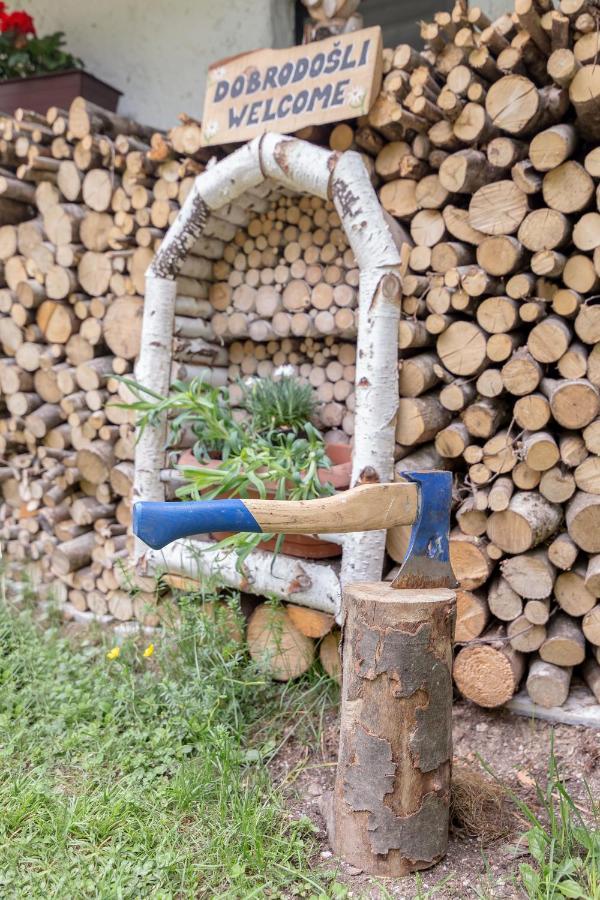 Lizina Hiska House Bohinj Villa Bohinjska Bistrica Kültér fotó