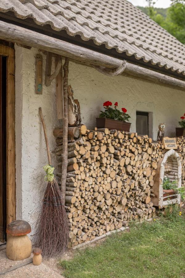 Lizina Hiska House Bohinj Villa Bohinjska Bistrica Kültér fotó